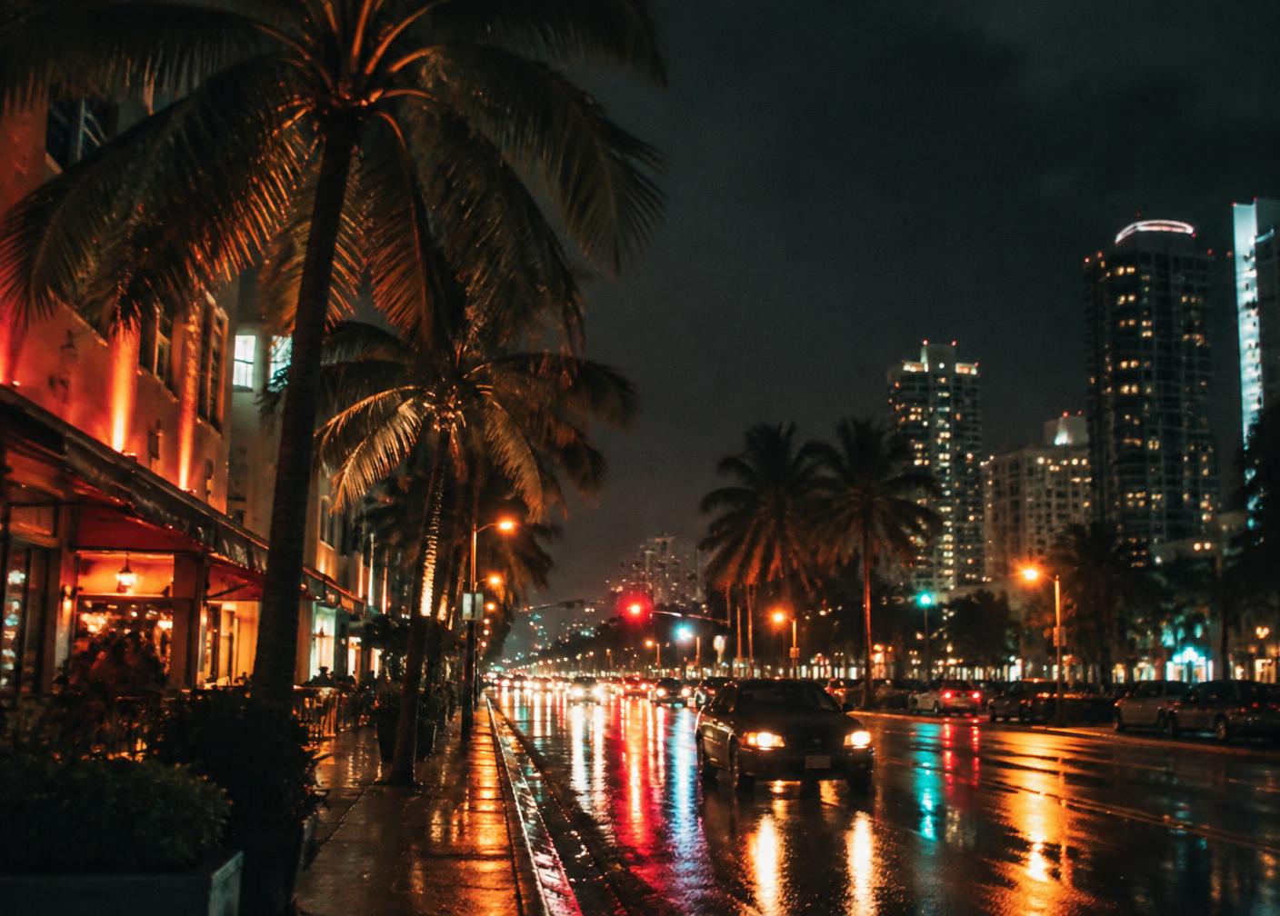 Miami street at night with palm trees and neon reflections